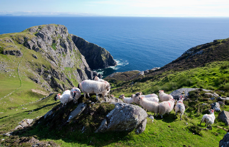 Slieve League Cliffs