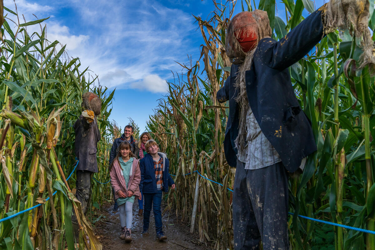 Scarecrow, Corn Maze, Halloween, Causey Farm, Navan, Co Meath family enjoying a halloween maze
